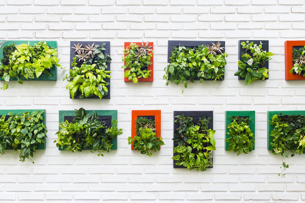Vertical Garden Frames
